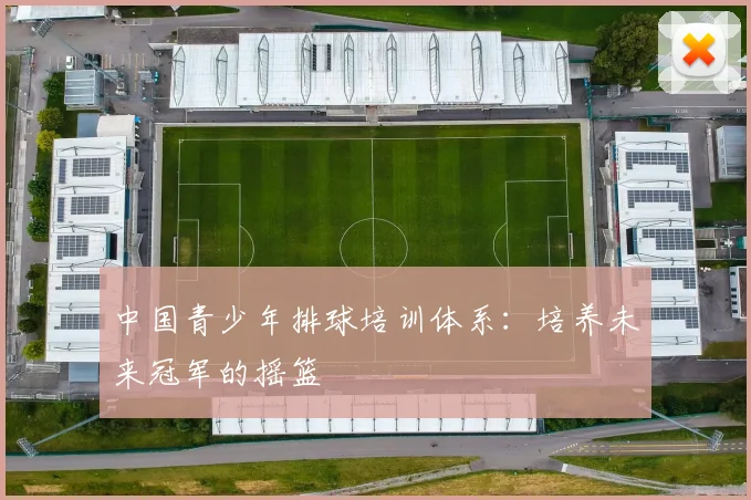 中国青少年排球培训体系：培养未来冠军的摇篮
