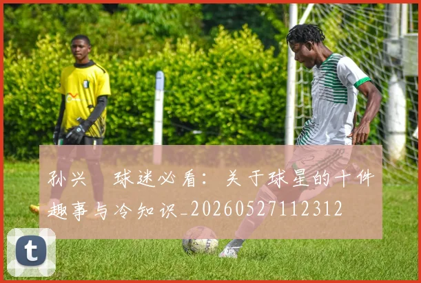 孙兴慜球迷必看：关于球星的十件趣事与冷知识_20260527112312