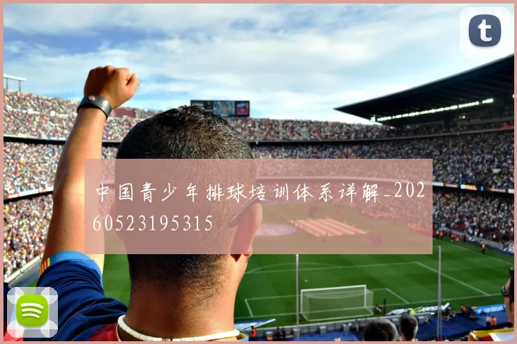 中国青少年排球培训体系详解_20260523195315